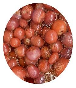 ترشی پیاز کاراملی فله